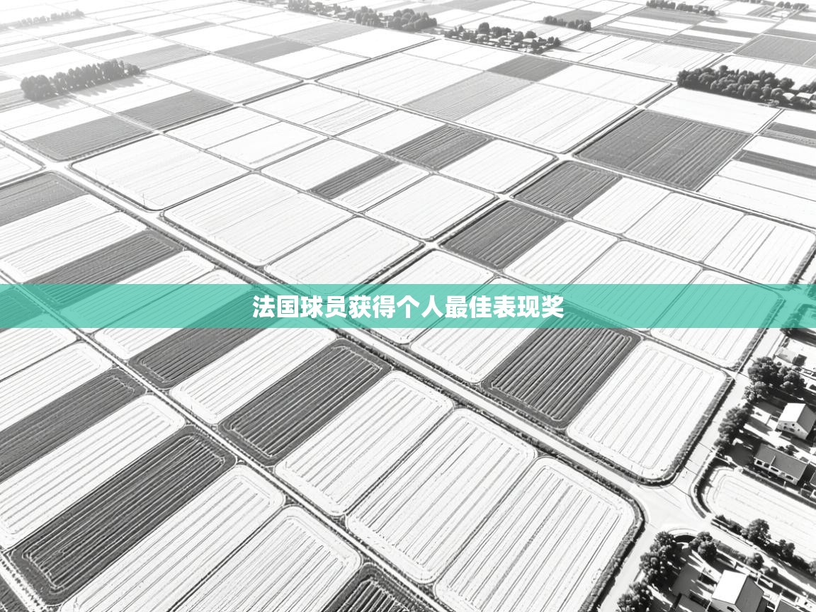 法国球员获得个人最佳表现奖