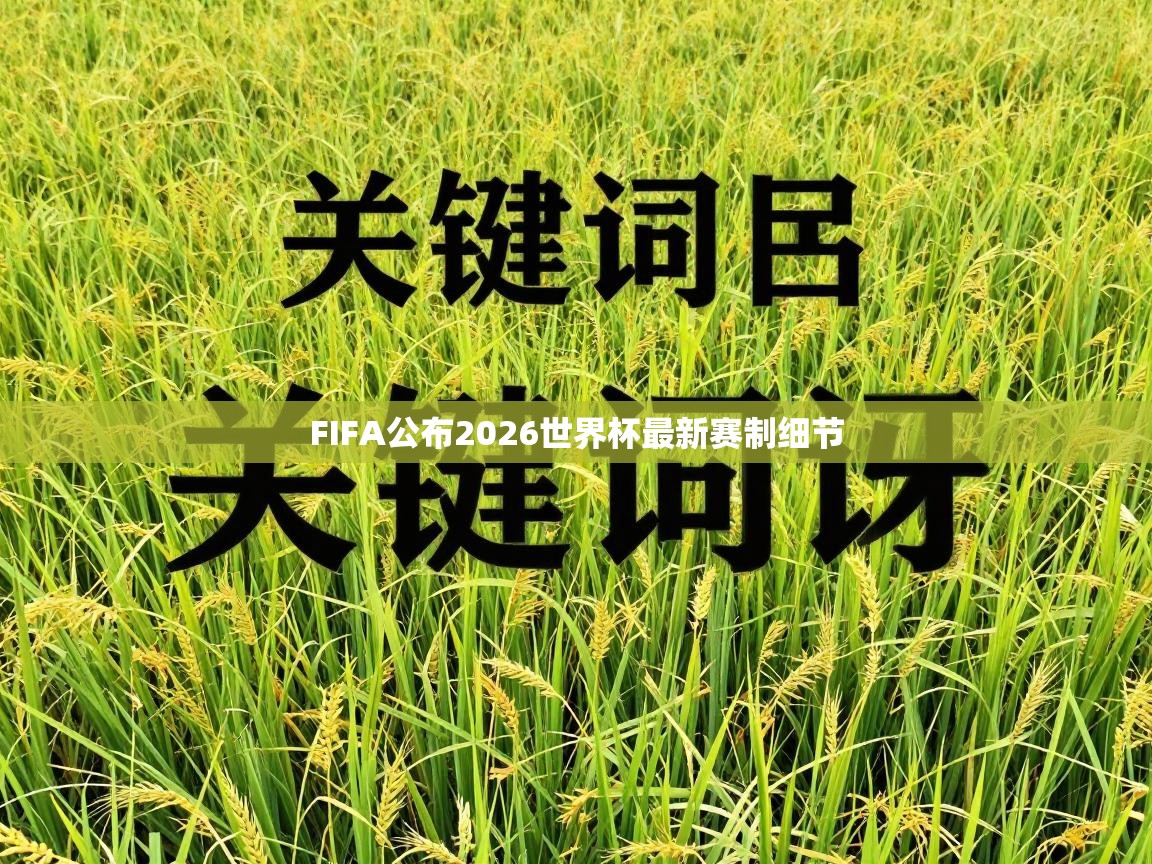 FIFA公布2026世界杯最新赛制细节 第2张