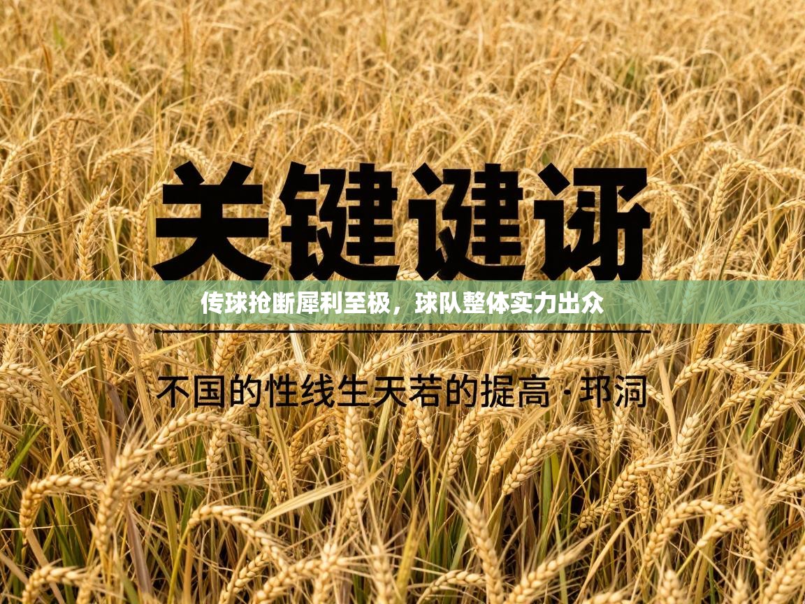 传球抢断犀利至极，球队整体实力出众